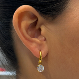 Camelia Sparkle Huggies