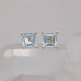 Eva Earrings