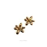 Dinora Classic Earrings