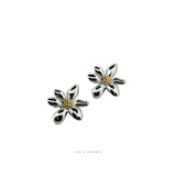 Dinora Classic Earrings